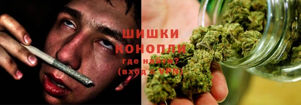 дживик Белокуриха