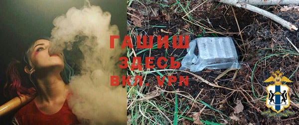 дживик Белокуриха