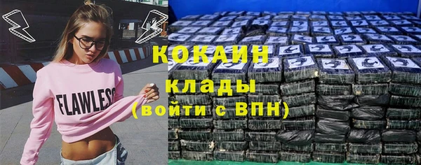 дживик Белокуриха