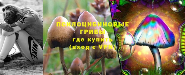 дживик Белокуриха
