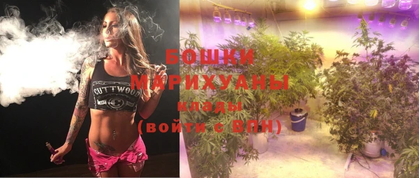 дживик Белокуриха