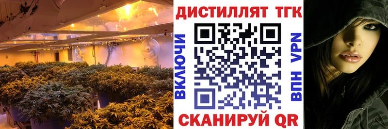 купить наркотики сайты Новотитаровская ТГК концентрат