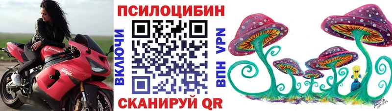 блэк спрут как зайти  Новотитаровская  Псилоцибиновые грибы мухоморы 